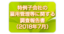 特例子会社の雇用管理等に関する調査報告書（2018年7月）